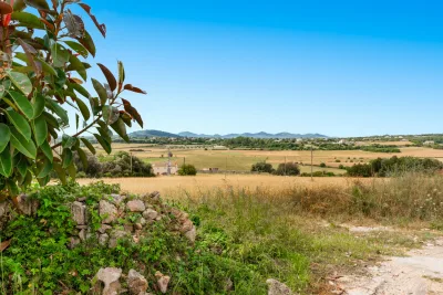 Venta Fincas Manacor