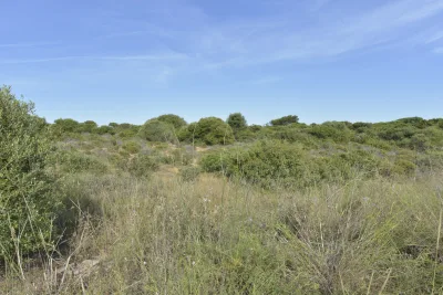 Venta Solar urbano Portocolom