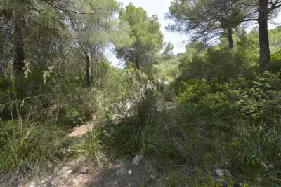 Venta Solar urbano Canyamel