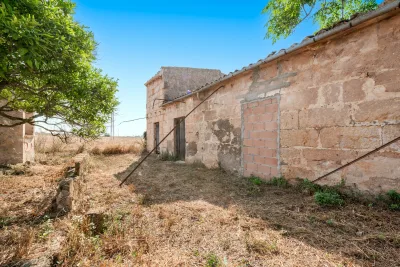 Venta Fincas Manacor