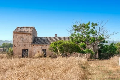 Venta Fincas Manacor