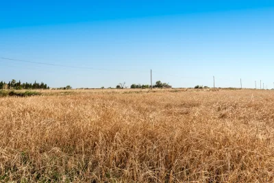 Venta Fincas Manacor