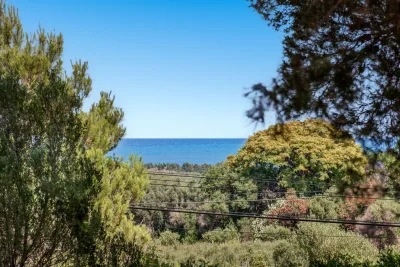 Venta Fincas Son Servera