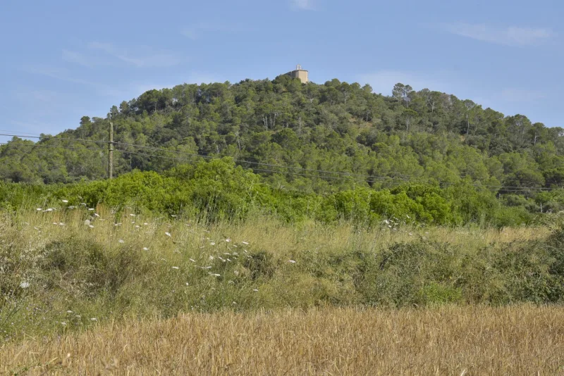 Terreno edificable con vistas despejadas en Manacor