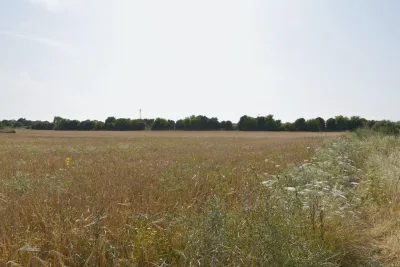 Venta Terrenos Manacor