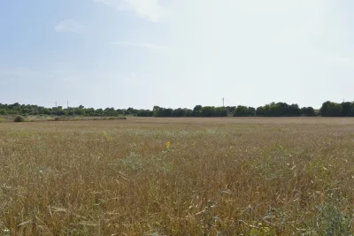 Venta Terrenos Manacor