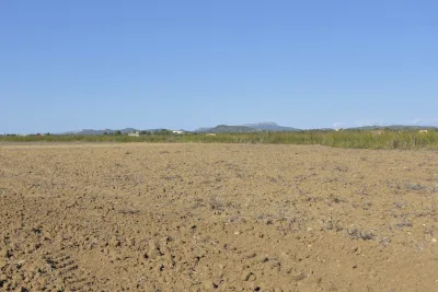 Venta Terrenos Felanitx