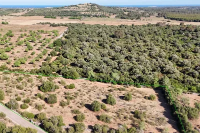 Venta Terrenos San Lorenzo