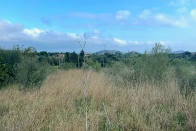 Venta Terrenos San Lorenzo