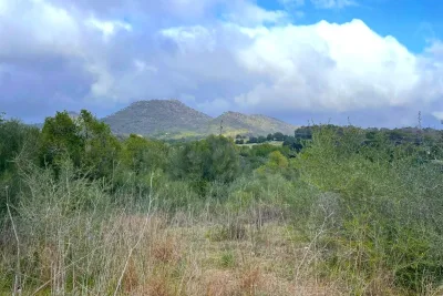 Venta Terrenos San Lorenzo