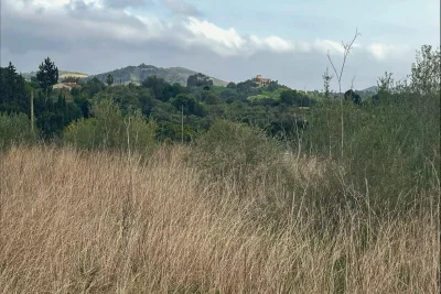 Venta Terrenos San Lorenzo