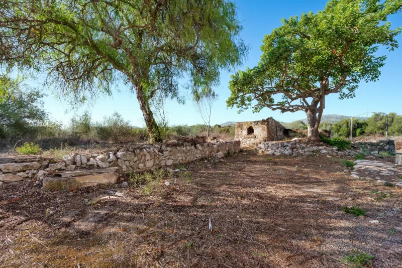 Finca con casa para reformar en Manacor