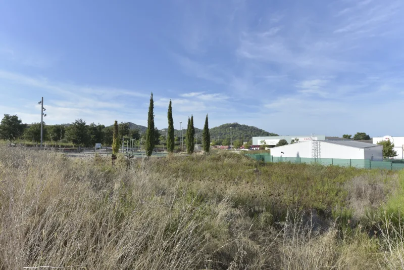 Solar en poligono de Manacor