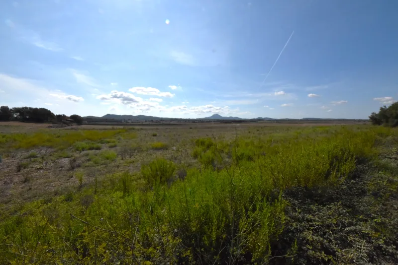 Terreno edificable en Manacor