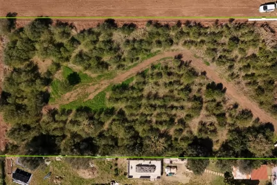 Venta Terrenos Manacor