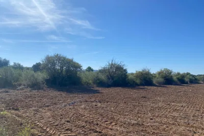 Venta Terrenos Manacor