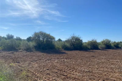 Venta Terrenos Manacor