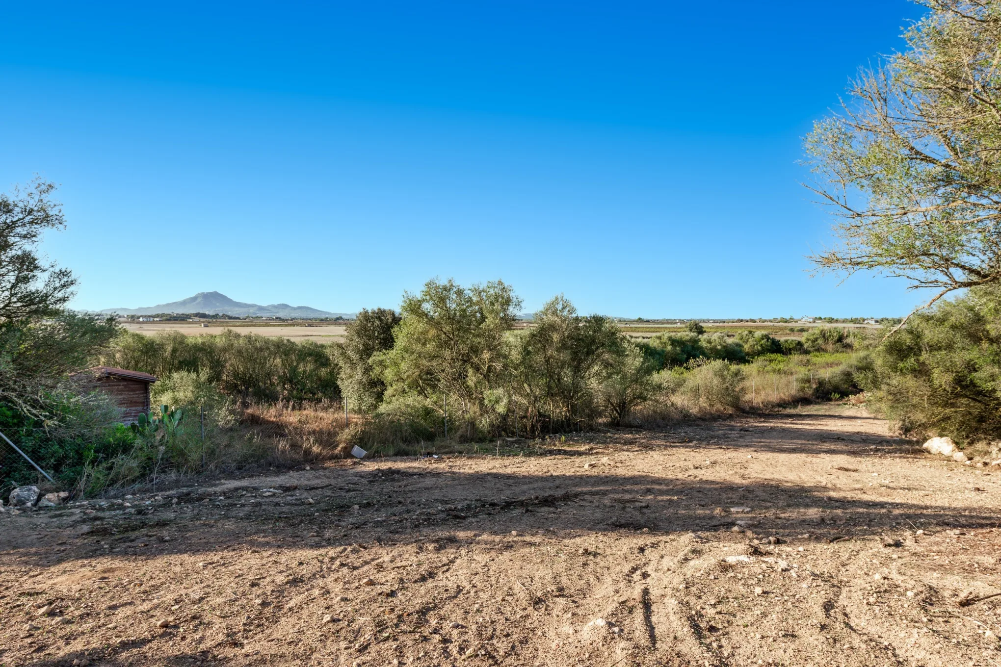 Slide show thumb