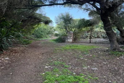 Venta Terrenos Son Carrio