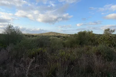 Venta Terrenos Son Carrio