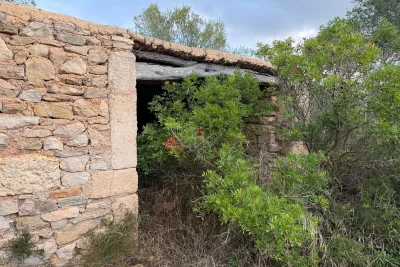 Venta Terrenos Son Carrio