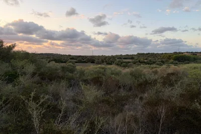 Venta Terrenos Son Carrio