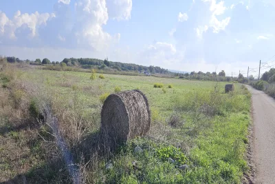 Venta Terrenos Petra