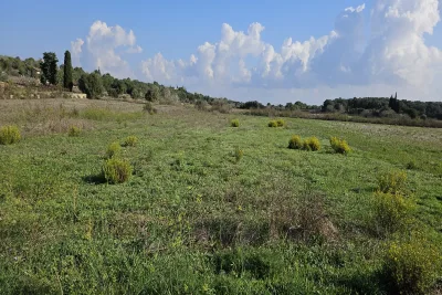 Venta Terrenos Petra