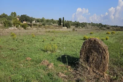 Venta Terrenos Petra