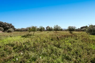 Venta Fincas Santa Margarita