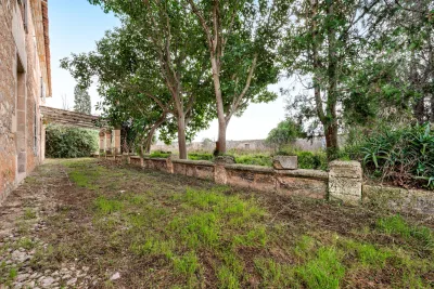 Venta Fincas Manacor