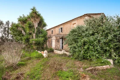 Venta Fincas Manacor