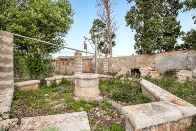 Venta Fincas Manacor