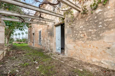 Venta Fincas Manacor