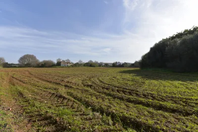 Venta Solar urbano Manacor