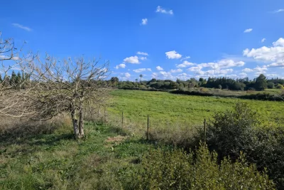 Venta Terrenos Manacor