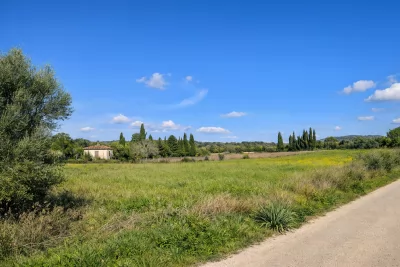 Venta Terrenos Manacor