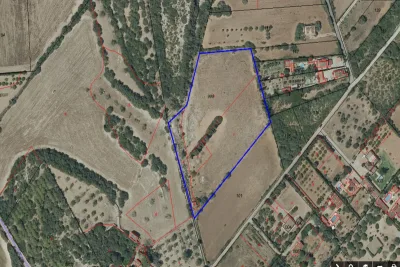 Venta Terrenos Manacor