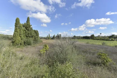 Venta Terrenos Manacor