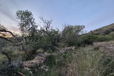 Venta Terrenos San Lorenzo