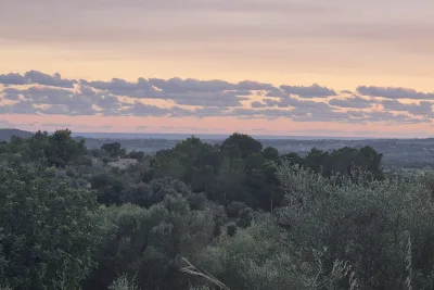 Venta Terrenos San Lorenzo