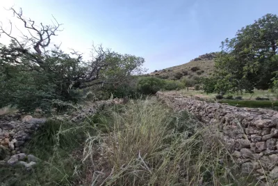 Venta Terrenos San Lorenzo