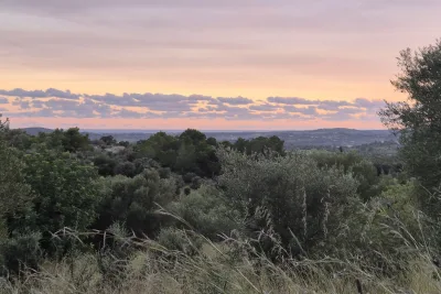 Venta Terrenos San Lorenzo