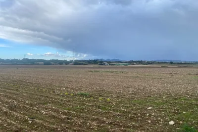 Venta Terrenos Manacor