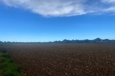 Venta Terrenos Manacor