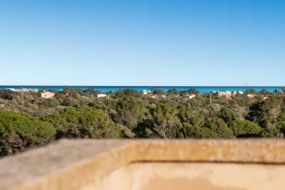 Venta Fincas Porto Cristo