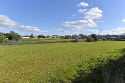 Venta Terrenos Manacor