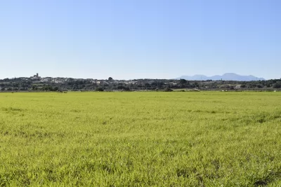 Venta Terrenos Ariany