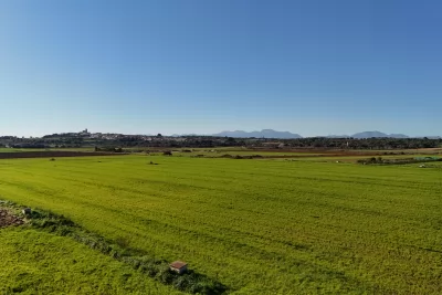 Compra Venta Terrenos en Ariany