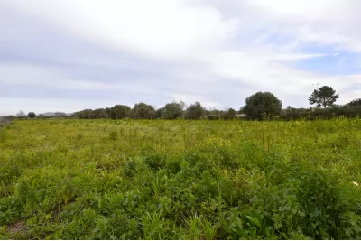 Venta Terrenos Felanitx